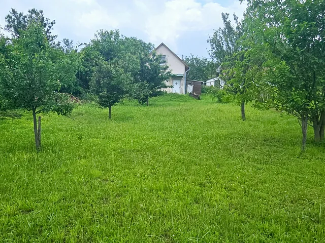 Eladó mezőgazdasági ingatlan Szekszárd 60 nm