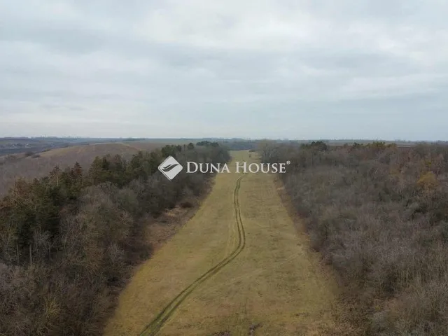 Eladó mezőgazdasági ingatlan Paks 85000 nm