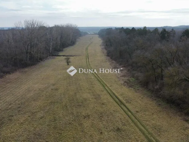 Eladó mezőgazdasági ingatlan Paks 85000 nm