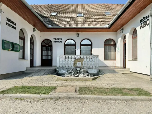 Eladó kereskedelmi és ipari ingatlan Szálka, Táncsics Mihály utca 450 nm