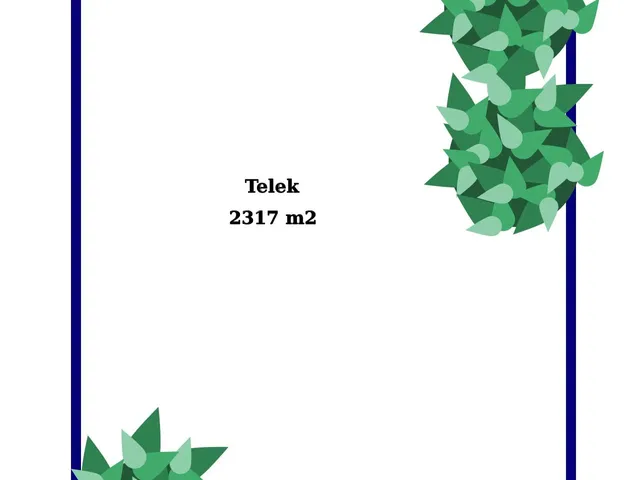 Eladó telek Tinnye 2317 nm