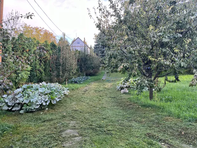 Eladó telek Budakeszi 2834 nm