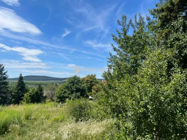 Eladó telek Budakeszi 2493 nm
