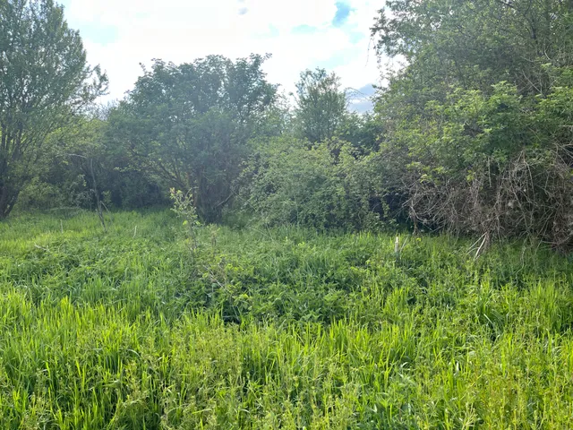 Eladó telek Tinnye 1508 nm