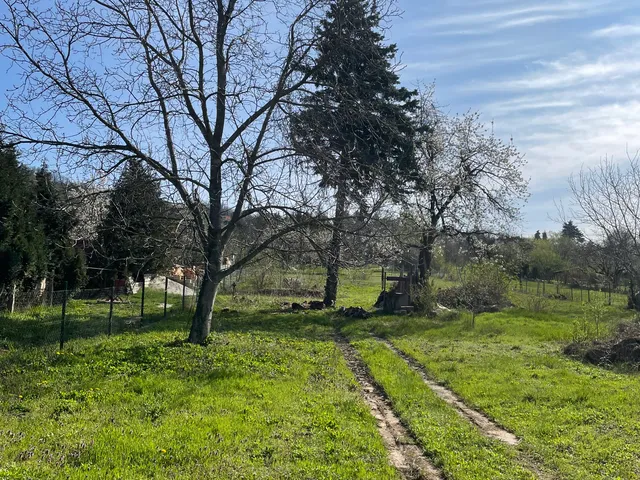 Eladó telek Páty 2101 nm