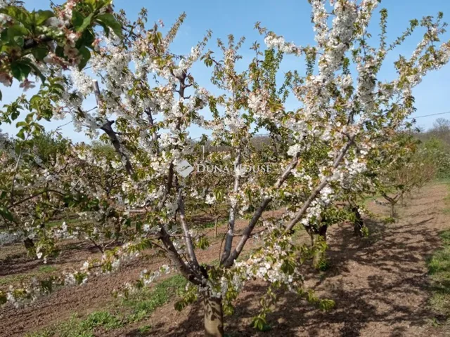 Eladó telek Biatorbágy 3583 nm