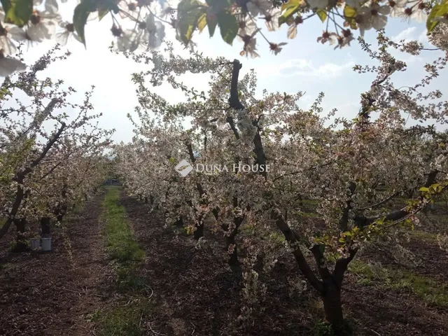 Eladó telek Biatorbágy, Mészáros dűlő 3583 nm