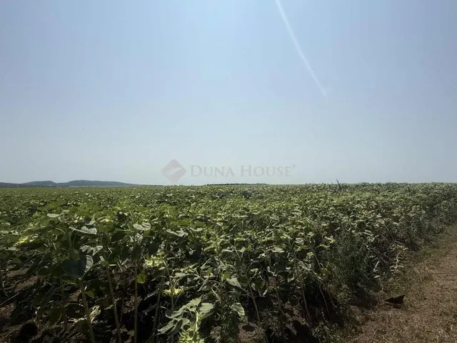 Eladó mezőgazdasági ingatlan Páty 30340 nm