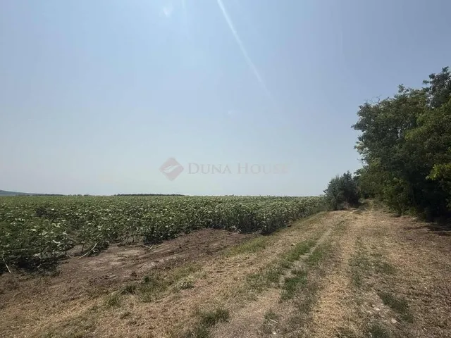 Eladó mezőgazdasági ingatlan Páty 30340 nm