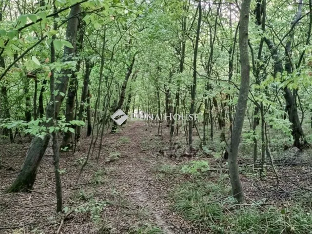 Eladó telek Alcsútdoboz 2187 nm