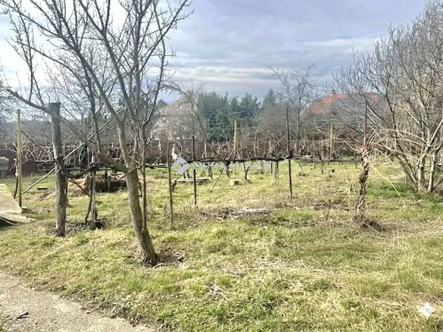 Eladó telek Telki 1778 nm