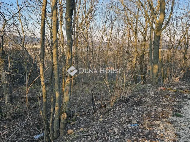 Eladó telek Biatorbágy 1367 nm