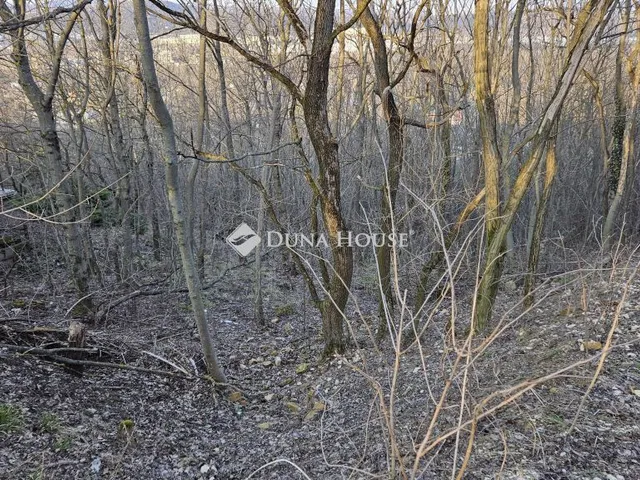 Eladó telek Biatorbágy, Dámvad utca 1367 nm