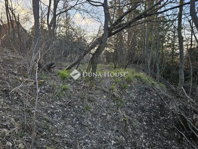 Eladó telek Biatorbágy, Dámvad utca 1367 nm