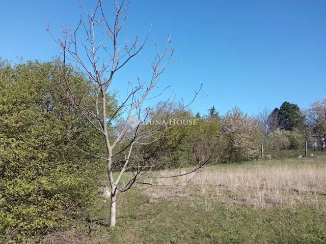 Eladó telek Biatorbágy, Boglárka utca 900 nm