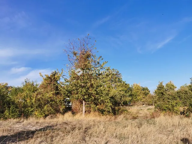 Eladó telek Mány 2944 nm
