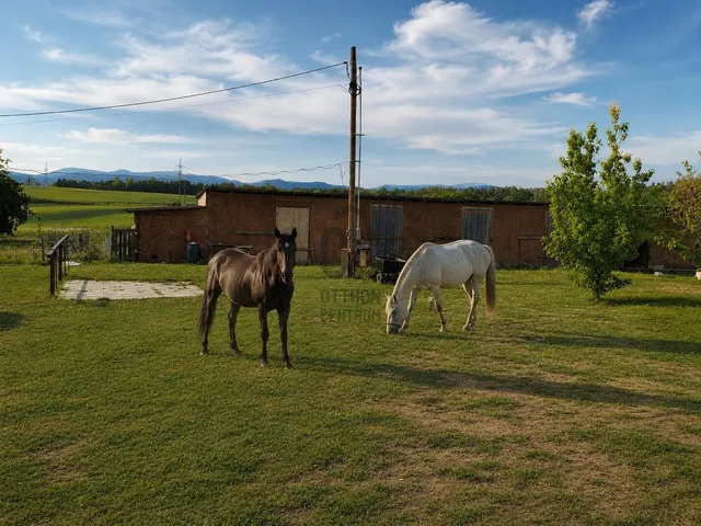 Eladó mezőgazdasági ingatlan Fót, Kisalag 22065 nm