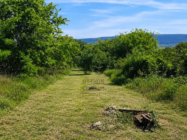Eladó telek Vértesszőlős 683 nm