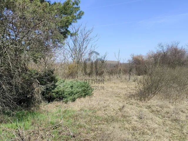 Eladó telek Szentmártonkáta, Öregszőlő 1042 nm