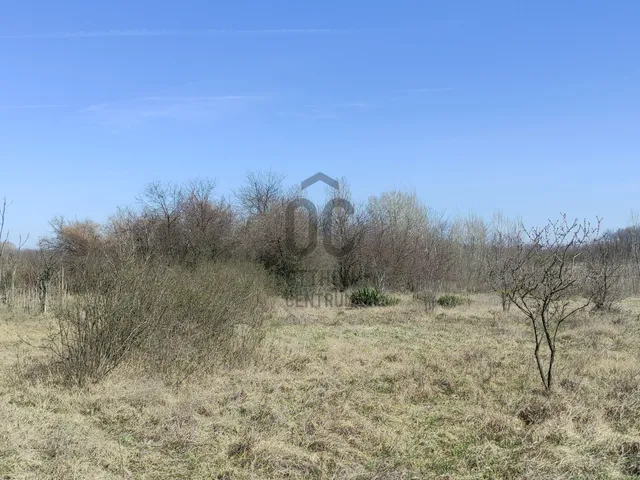 Eladó telek Szentmártonkáta, Öregszőlő 1042 nm