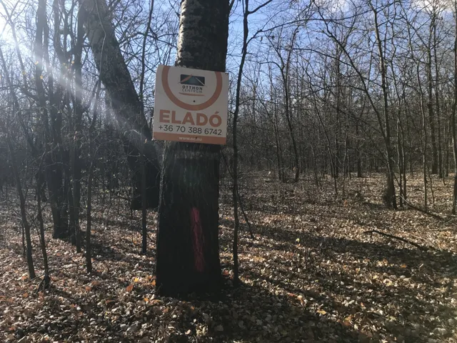 Eladó mezőgazdasági ingatlan Tápióbicske 69685 nm