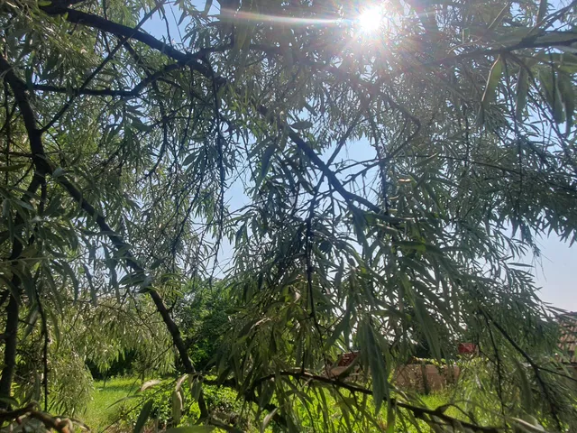 Eladó telek Karácsond 1260 nm