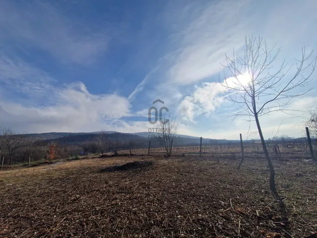 Eladó telek Gyöngyös 1655 nm
