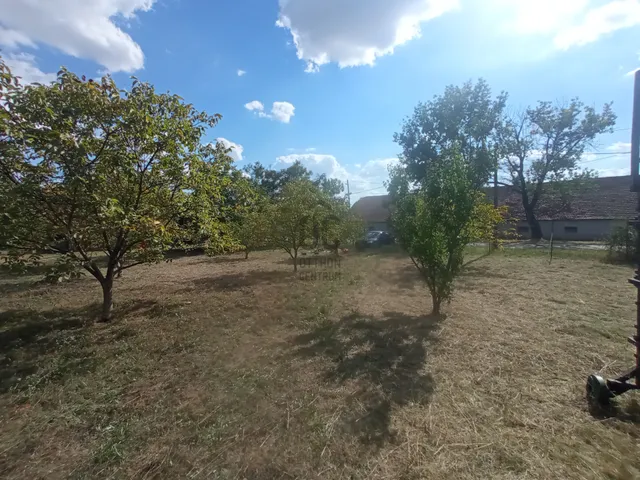Eladó telek Detk 1529 nm
