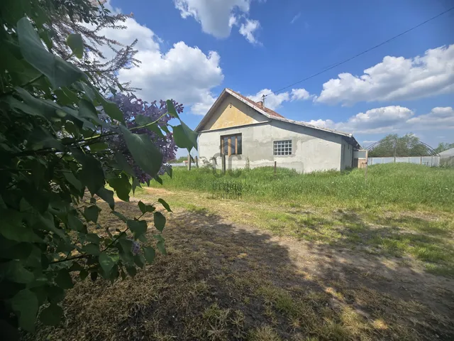 Eladó ház Csány 2015 nm