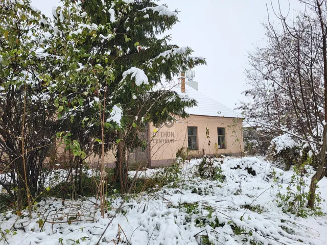 Eladó kereskedelmi és ipari ingatlan Csány 273 nm