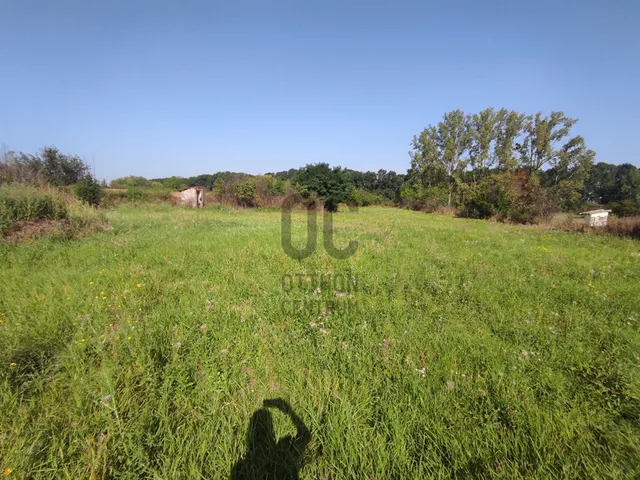 Eladó telek Mezőnagymihály 3634 nm