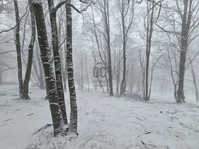 Eladó telek Mátraszentimre 5698 nm