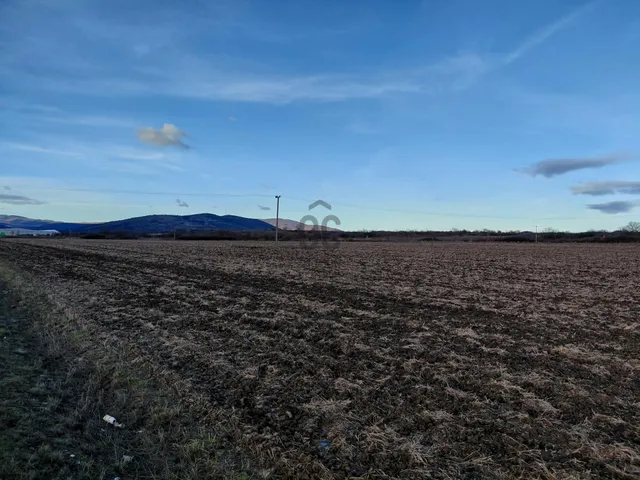 Eladó telek Gyöngyös, Déli iparterület 42333 nm