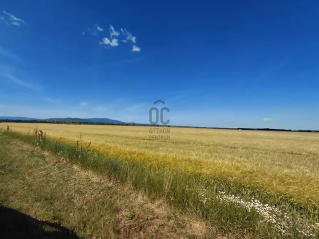 Eladó telek Gyöngyös, Déli iparterület 42333 nm