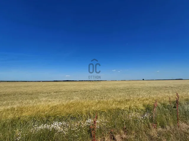 Eladó telek Gyöngyös, Déli iparterület 23643 nm