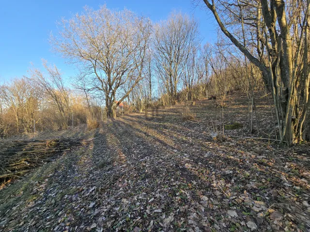 Eladó telek Mátraszentimre 2741 nm