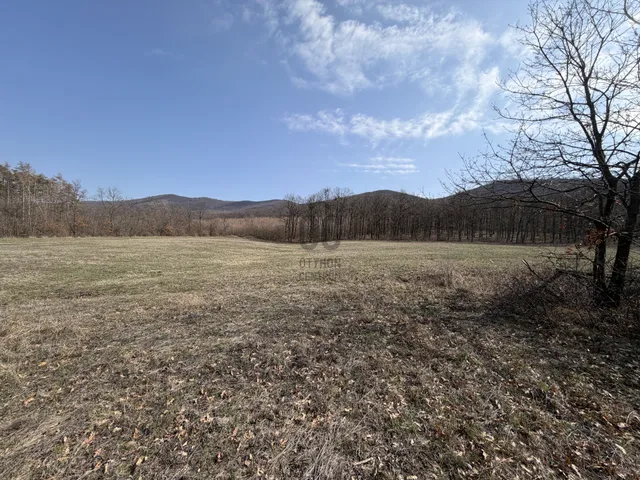 Eladó mezőgazdasági ingatlan Szurdokpüspöki 1129 nm