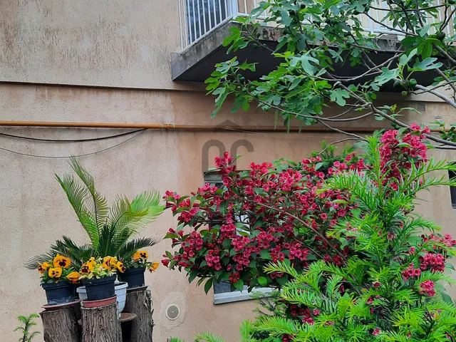 Eladó ház Gyöngyös, Belváros 173 nm