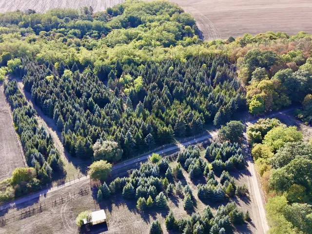 Eladó mezőgazdasági ingatlan Galgamácsa 75000 nm