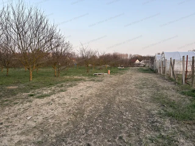 Eladó telek Ásványráró 1145 nm