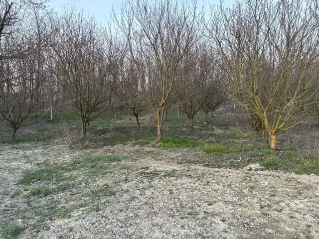 Eladó telek Ásványráró 1145 nm