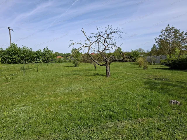 Eladó telek Újrónafő 1774 nm