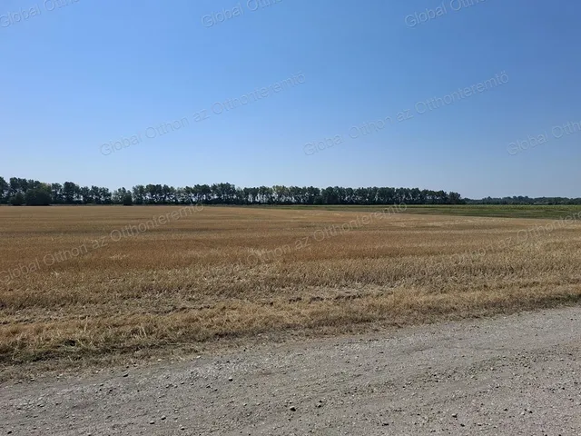 Eladó telek Újrónafő 1574 nm