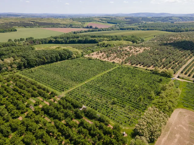 Eladó mezőgazdasági ingatlan Nógrád, Külterület 28000 nm