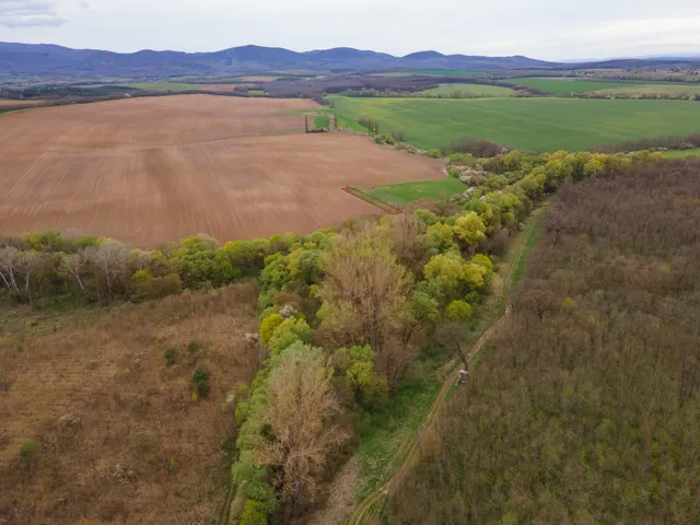 Eladó mezőgazdasági ingatlan Rétság 1172 nm