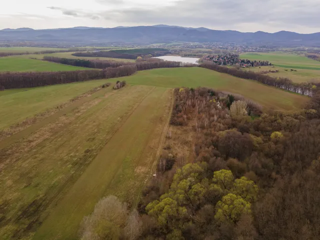 Eladó mezőgazdasági ingatlan Diósjenő 4185 nm