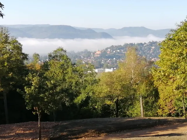 Eladó telek Verőce 7990 nm