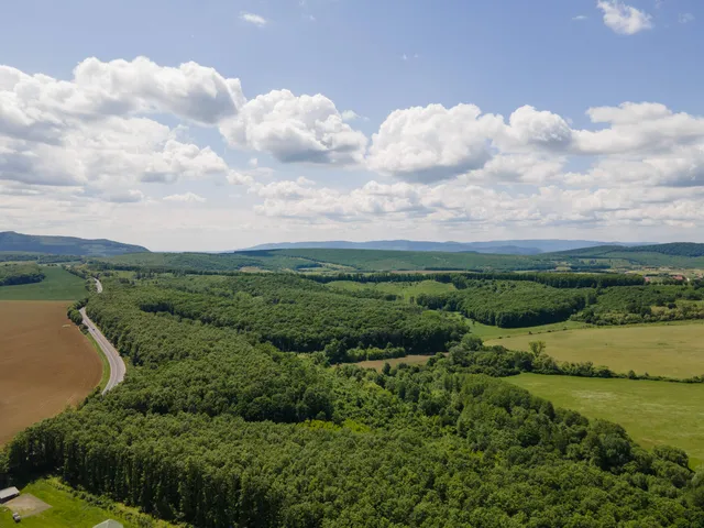 Eladó mezőgazdasági ingatlan Nógrád 34596 nm