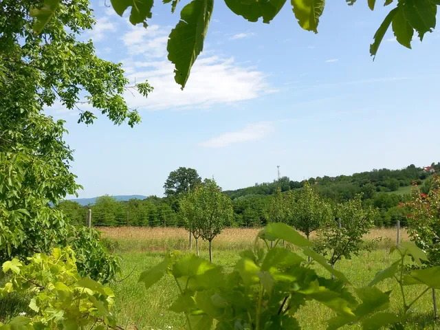 Eladó mezőgazdasági ingatlan Balatonberény 5258 nm