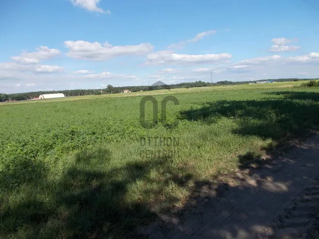 Eladó mezőgazdasági ingatlan Felsőpakony 25000 nm